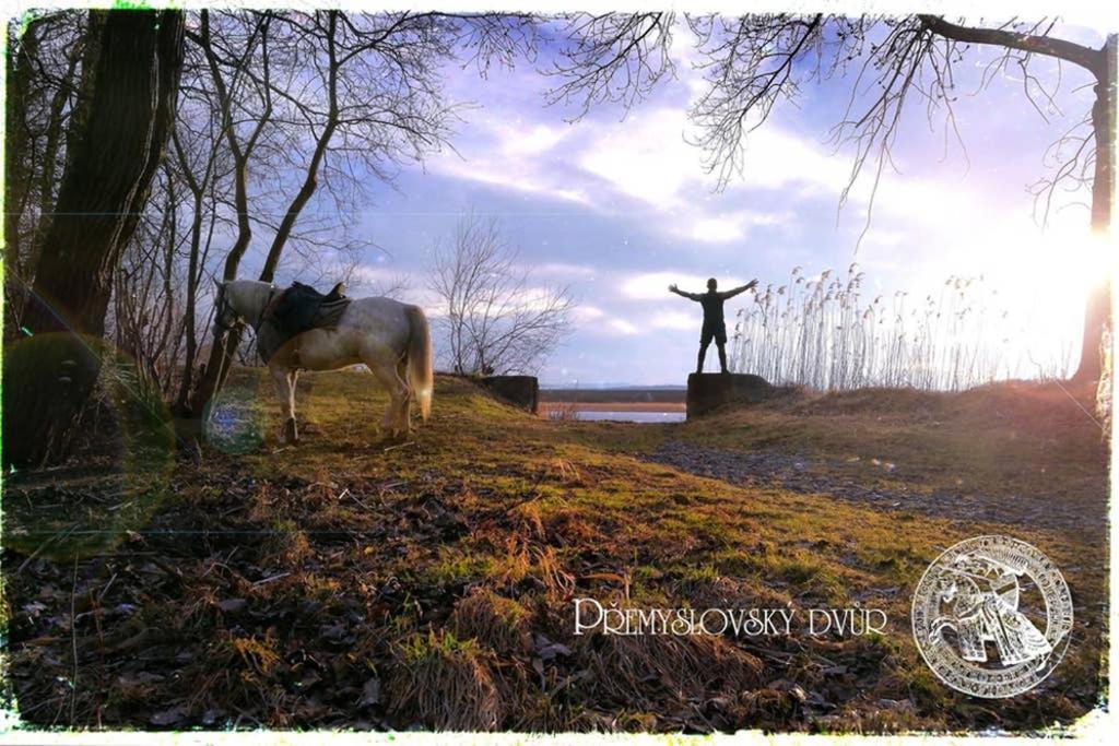 Апартаменты Premyslovsky Dvur Slezske Pavlovice Экстерьер фото